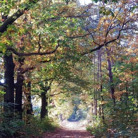 Vakantiehuis Op Rustig Bospark Veluwe フォールトハイゼン エクステリア 写真