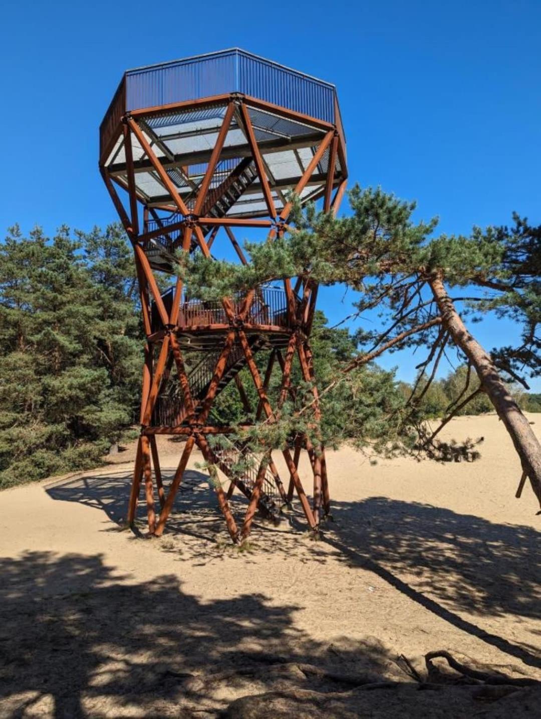 Vakantiehuis Op Rustig Bospark Veluwe フォールトハイゼン エクステリア 写真