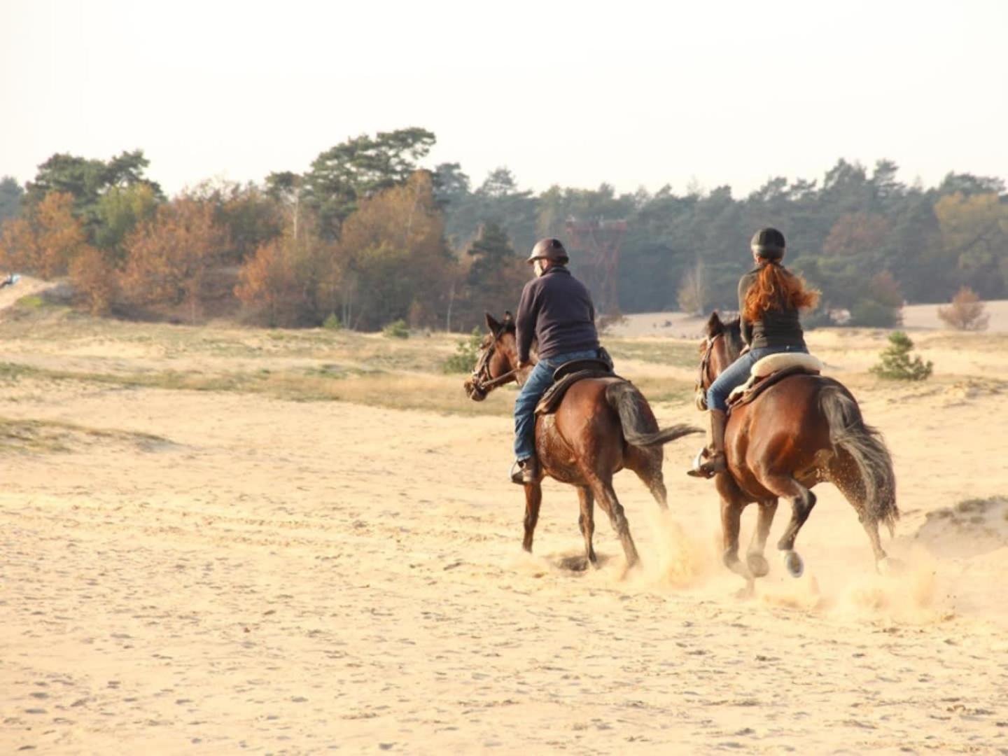 Vakantiehuis Op Rustig Bospark Veluwe フォールトハイゼン エクステリア 写真