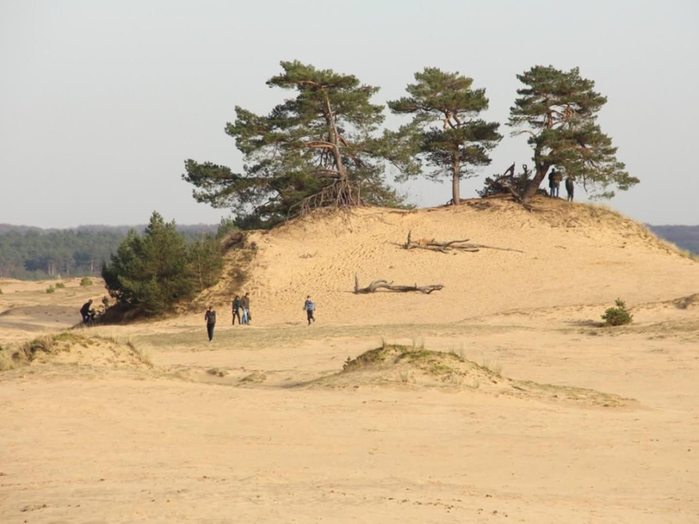 Vakantiehuis Op Rustig Bospark Veluwe フォールトハイゼン エクステリア 写真