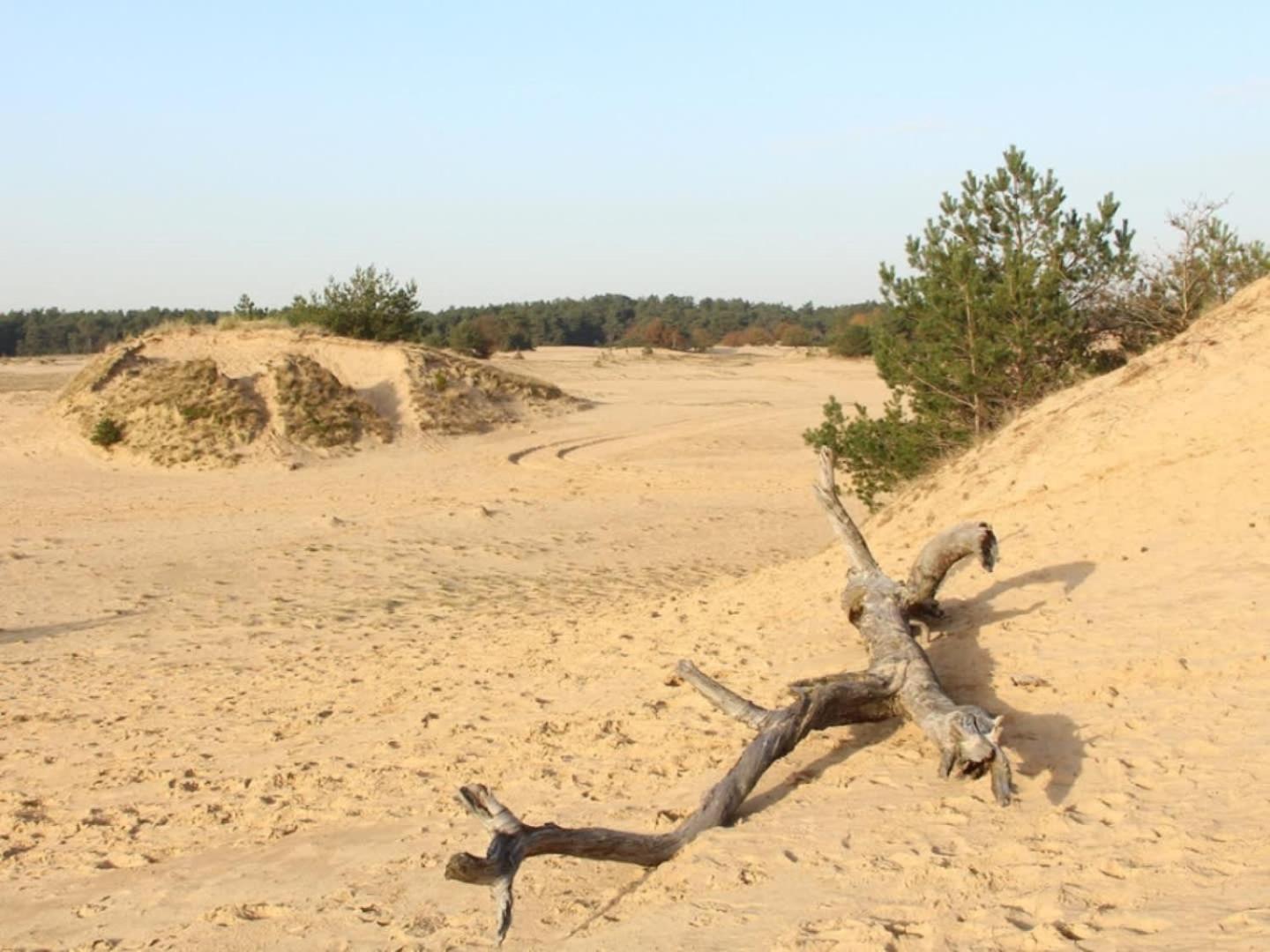 Vakantiehuis Op Rustig Bospark Veluwe フォールトハイゼン エクステリア 写真