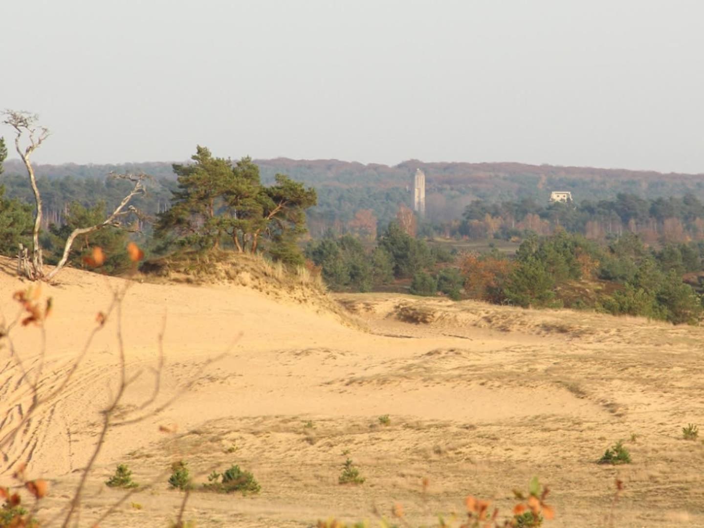 Vakantiehuis Op Rustig Bospark Veluwe フォールトハイゼン エクステリア 写真