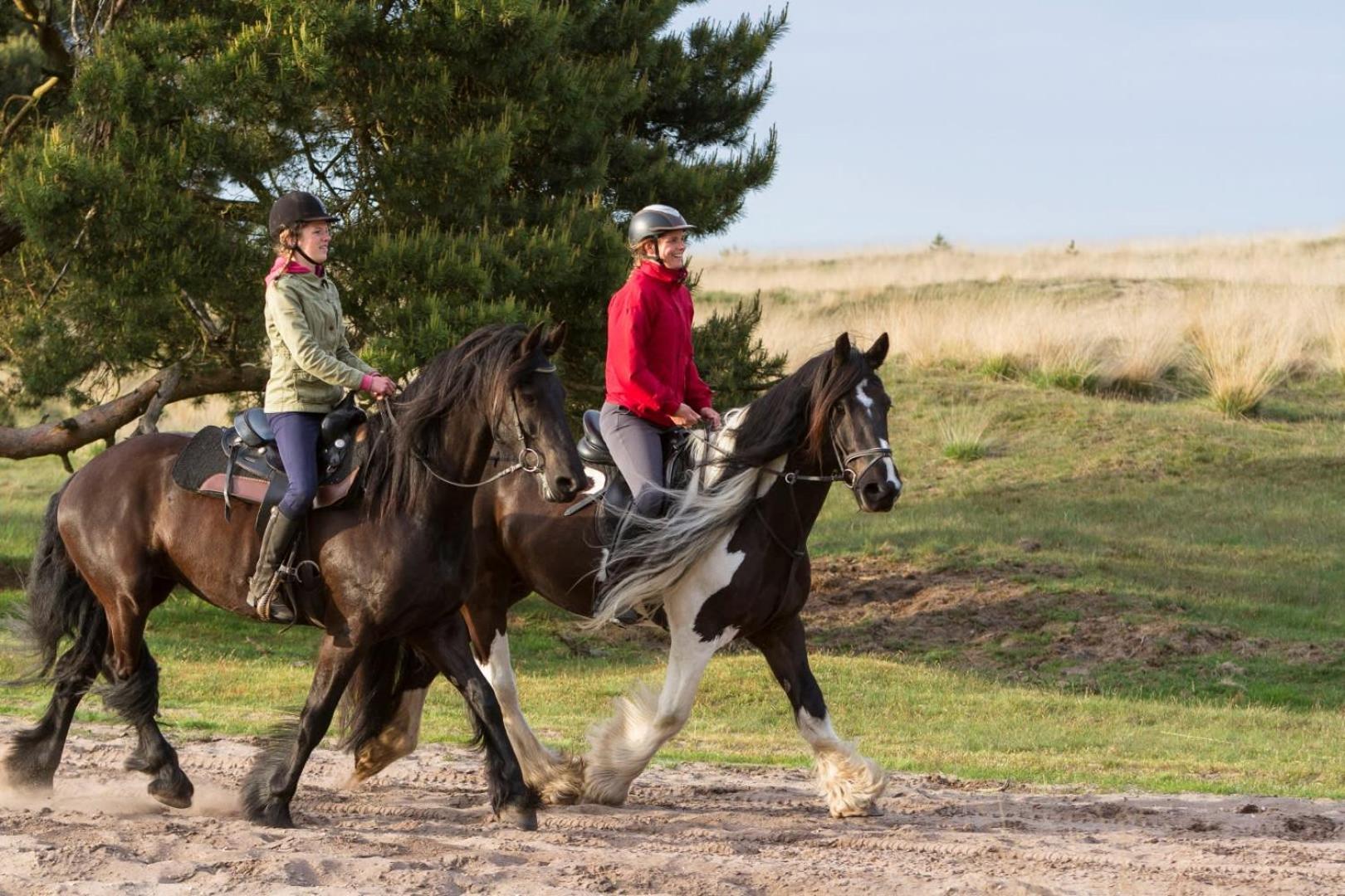 Vakantiehuis Op Rustig Bospark Veluwe フォールトハイゼン エクステリア 写真