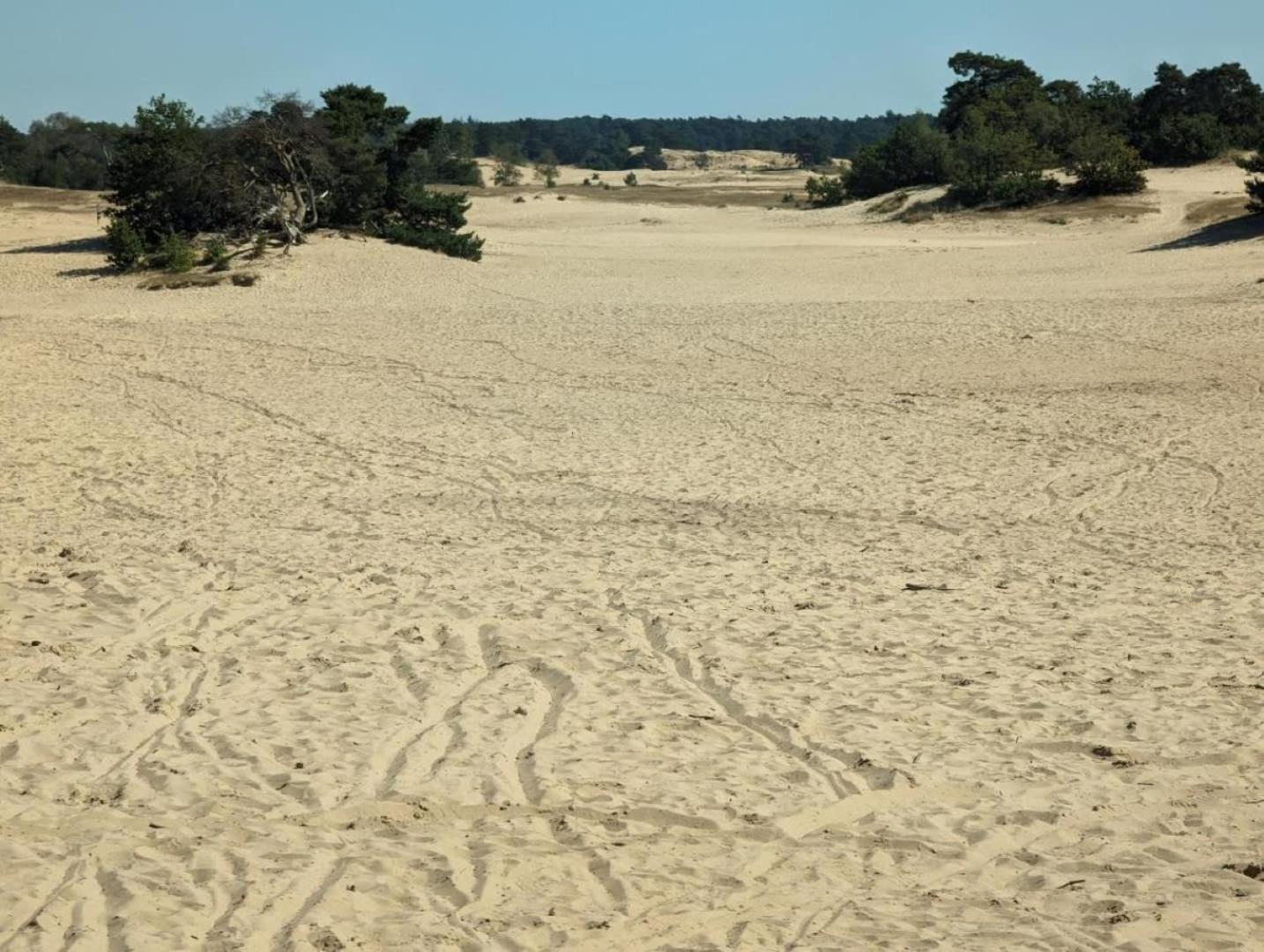 Vakantiehuis Op Rustig Bospark Veluwe フォールトハイゼン エクステリア 写真