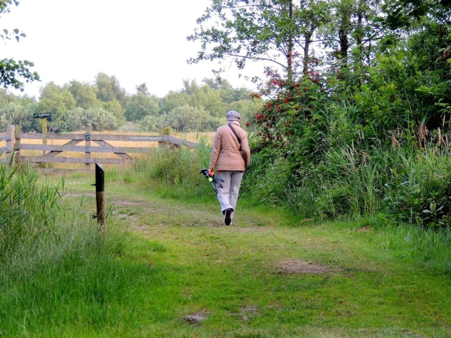 Vakantiehuis Op Rustig Bospark Veluwe フォールトハイゼン エクステリア 写真