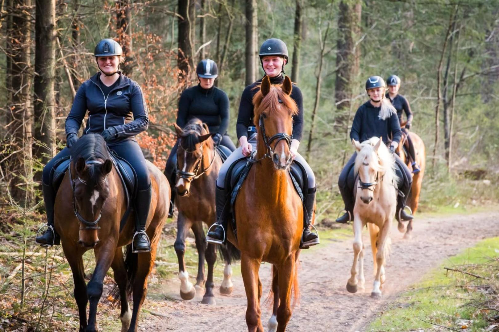 Vakantiehuis Op Rustig Bospark Veluwe フォールトハイゼン エクステリア 写真